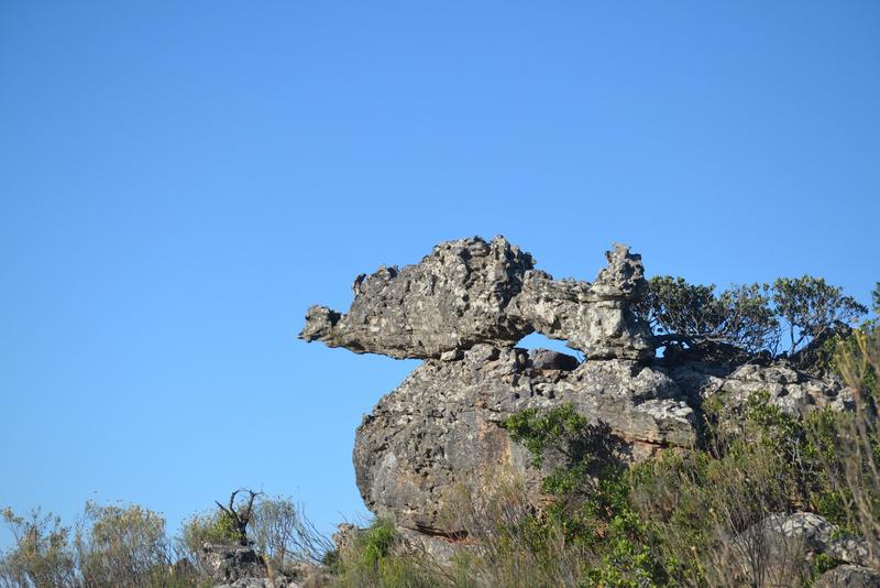 5 Bedroom Property for Sale in Piketberg Rural Western Cape